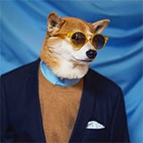mensweardog